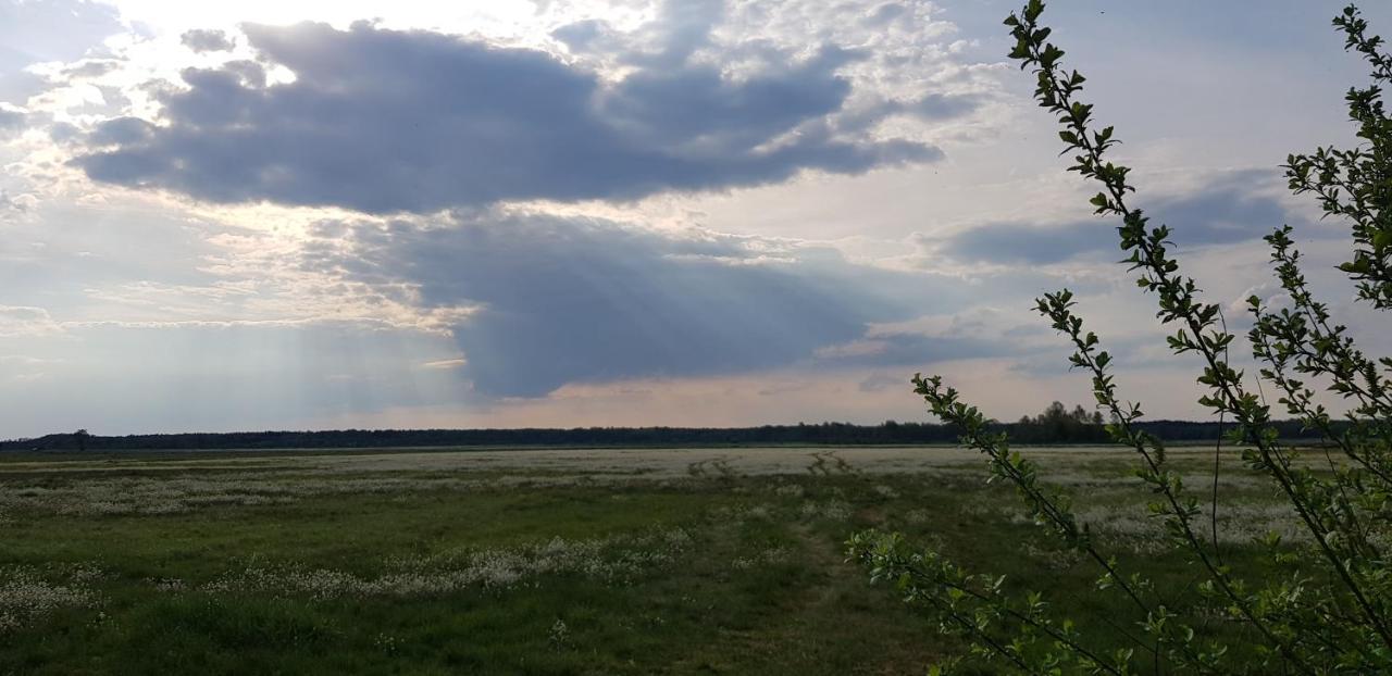 Zdalnie Z Lasu - Siedlisko W Puszczy Bialowieskiej Narewka Экстерьер фото
